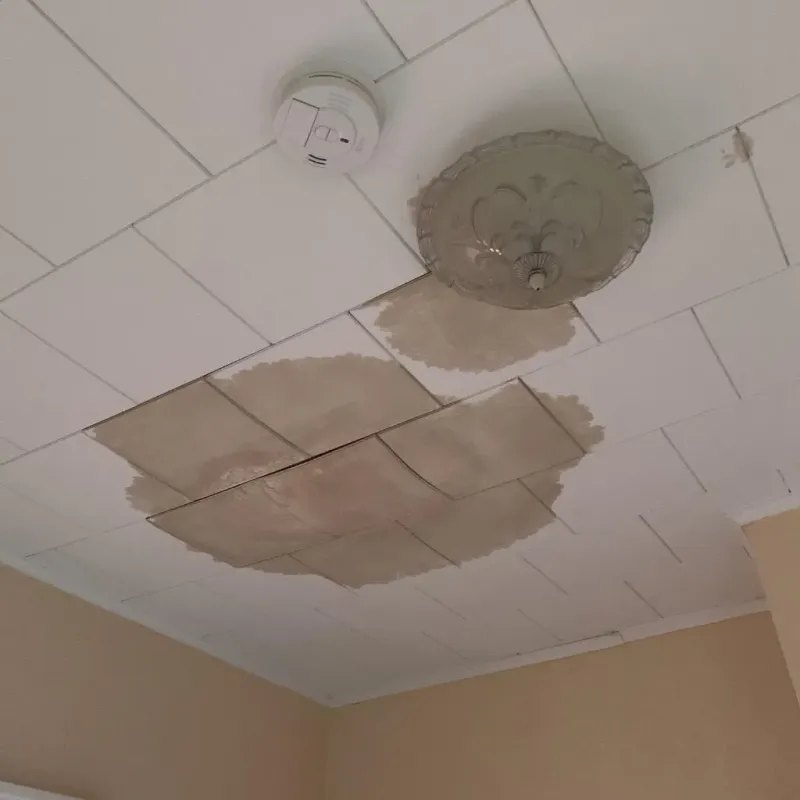 Ceiling Water Damage Repair in Canton, NC