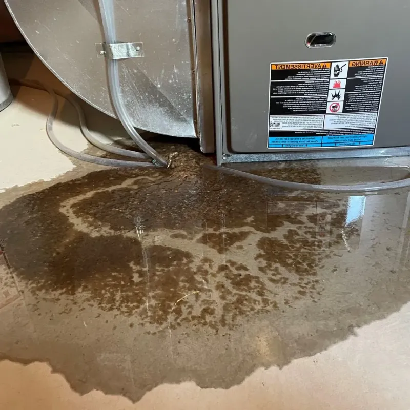 Pipe Burst and Leak Restoration in Canton, NC
