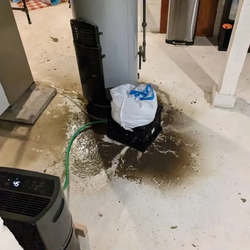 Sewage Backup Cleanup Service in Canton, NC